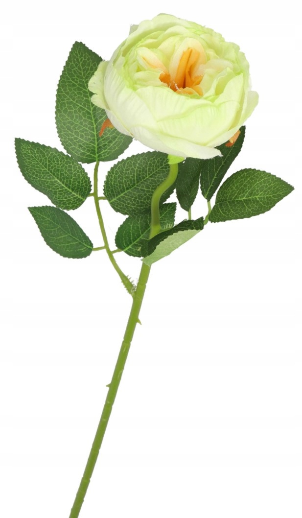 SZTUCZNE KWIATY ROŚLINY PIWONIA PEONIA POJEDYNCZA Kod producenta 618759