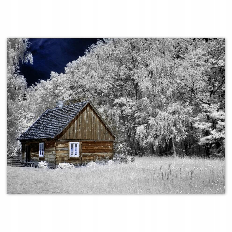 

Plakaty 70x50 Chata z bali