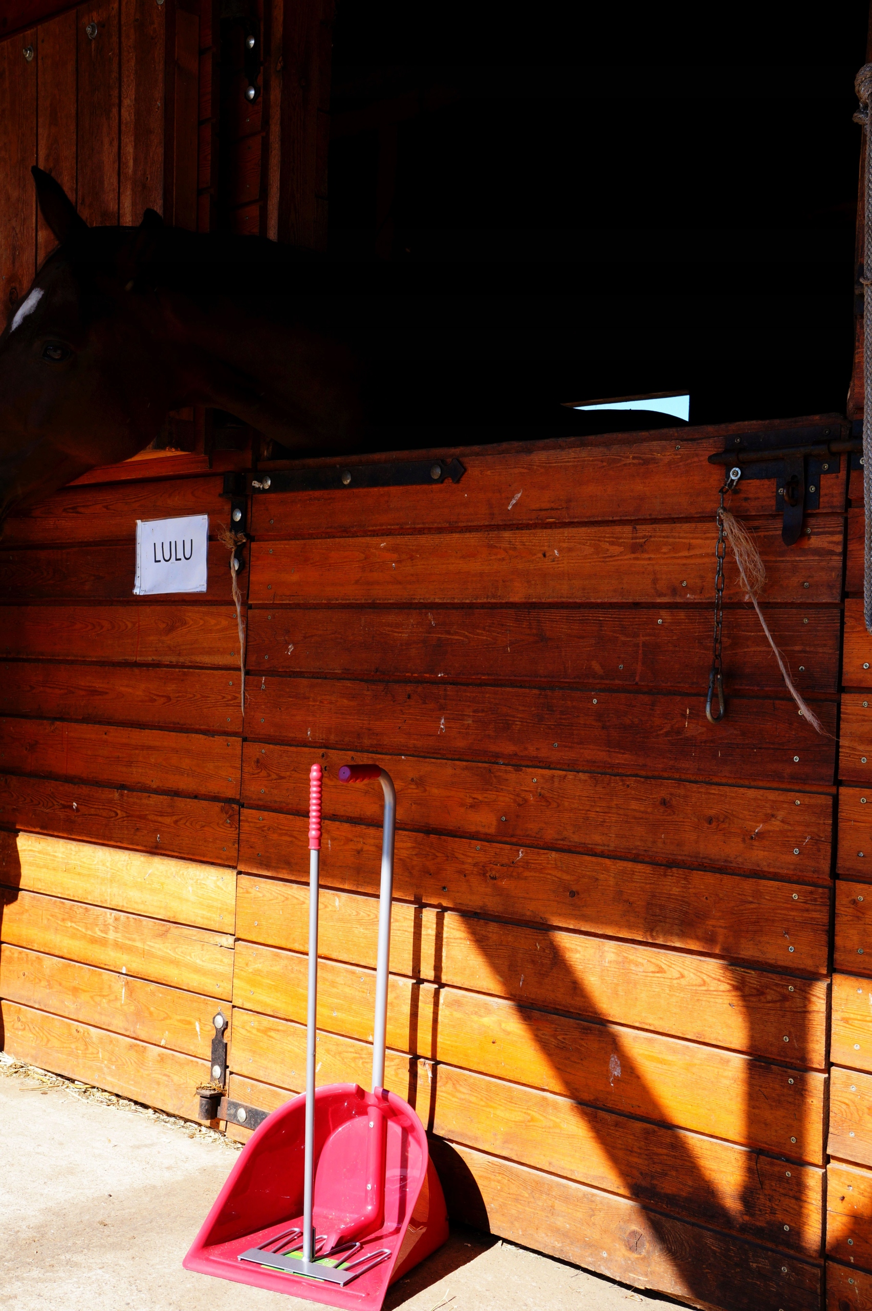 Zestaw do sprzątania w stajni Mistboy RÓŻOWY Kerbl Marka Kerbl