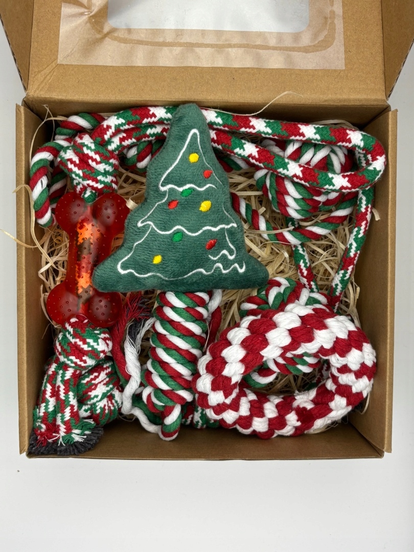 Levně Dárková sada pro psa s vánočním stromkem