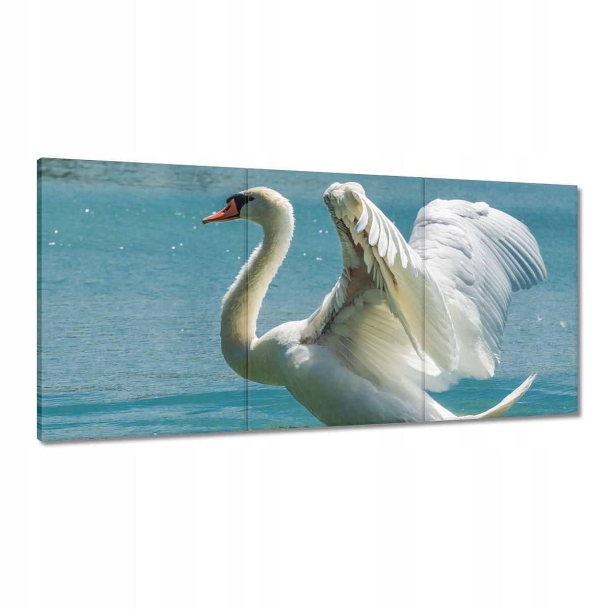 Obrazy 180x90 Labuť