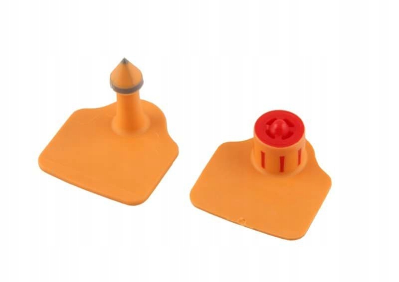 Kolczyk dla owiec Flexoplus L, część męska i żeńska, pomarańczowy, czysty,