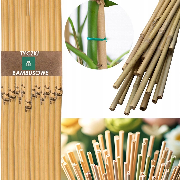 100X TYCZKA BAMBUSOWA - PODPORA DO ROŚLIN KWIATÓW-TYCZKA ROŚLIN 60CM 8-10MM