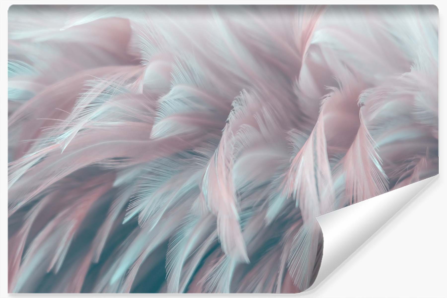 

Fototapeta Ścienna Kolorowe Pióra Dekor 3D 368x254