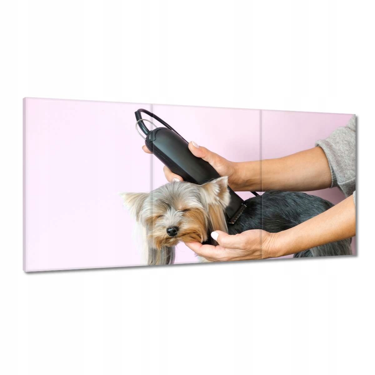 Obrazy 180x90 Ateliér strihania psov