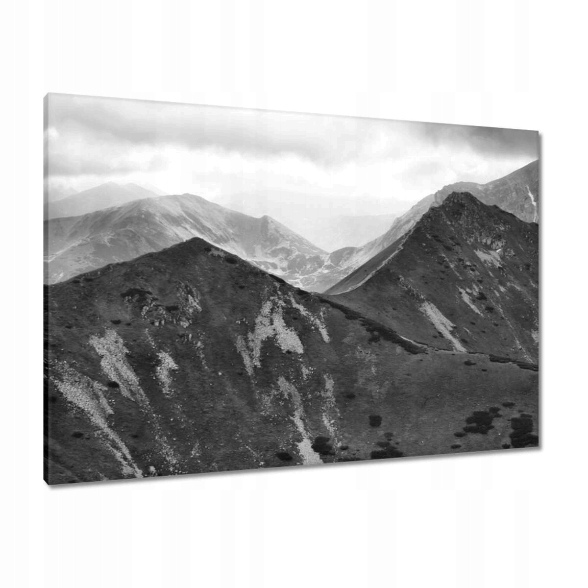 Obrazy 100x70 Tatry Polské hory Pohled