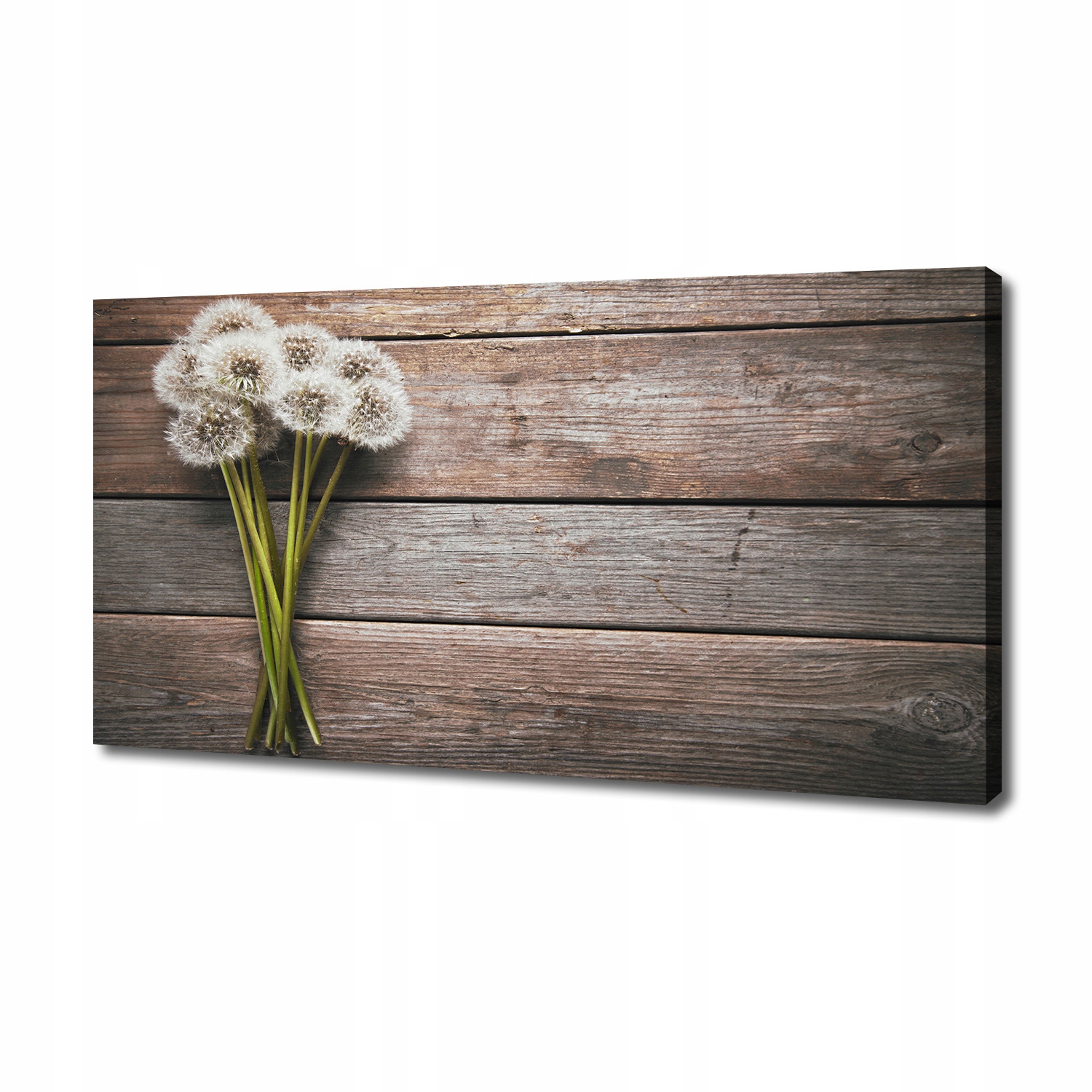 

Foto obraz na płótnie Dmuchawce drewno 140x70 cm