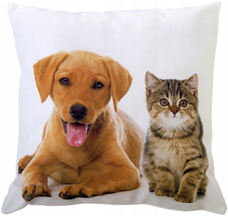 

Poszewka Dekoracyjna Friendship 40X40 Pies I Kot
