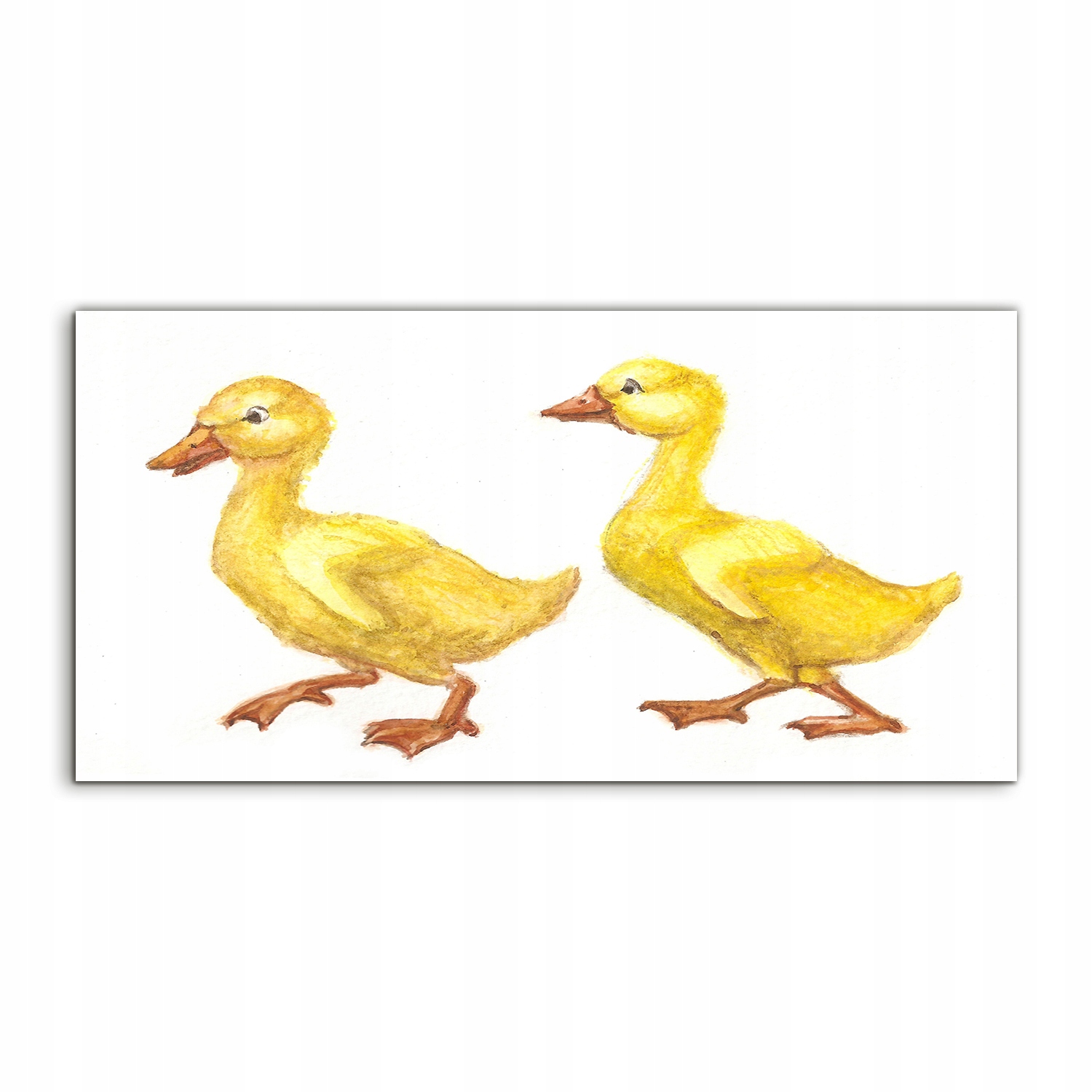 

Obraz akryl 140x70 na ścianę Gęś Pisklę Akwarele