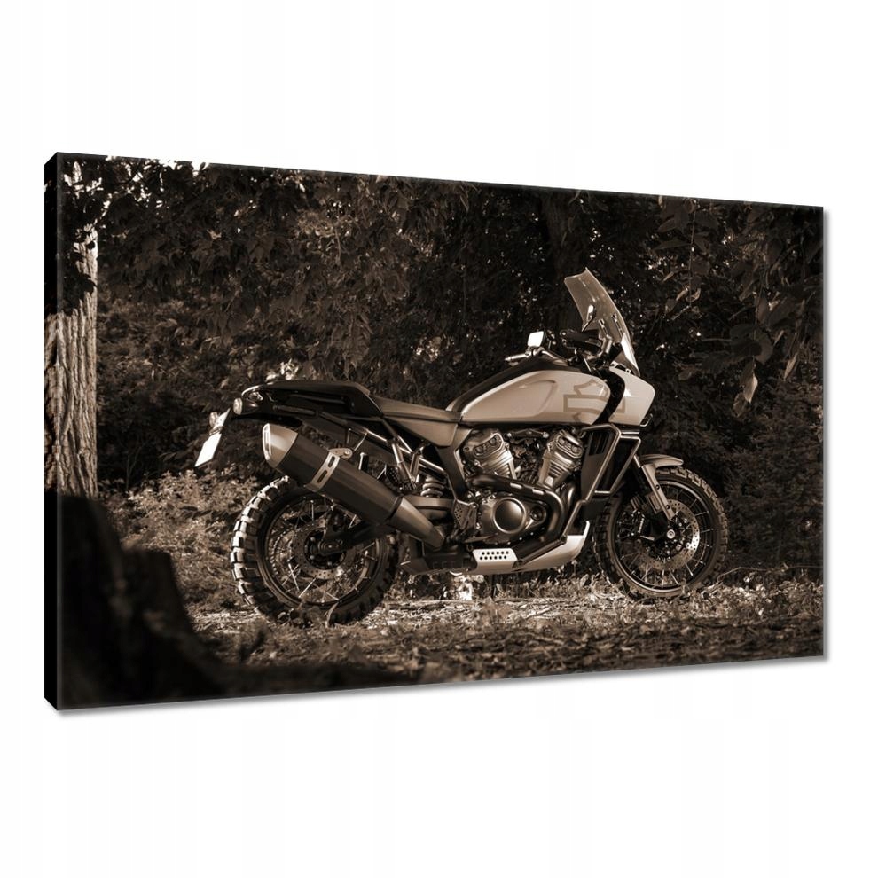 

Obrazy 90x60 Harley Davidson Motocykl