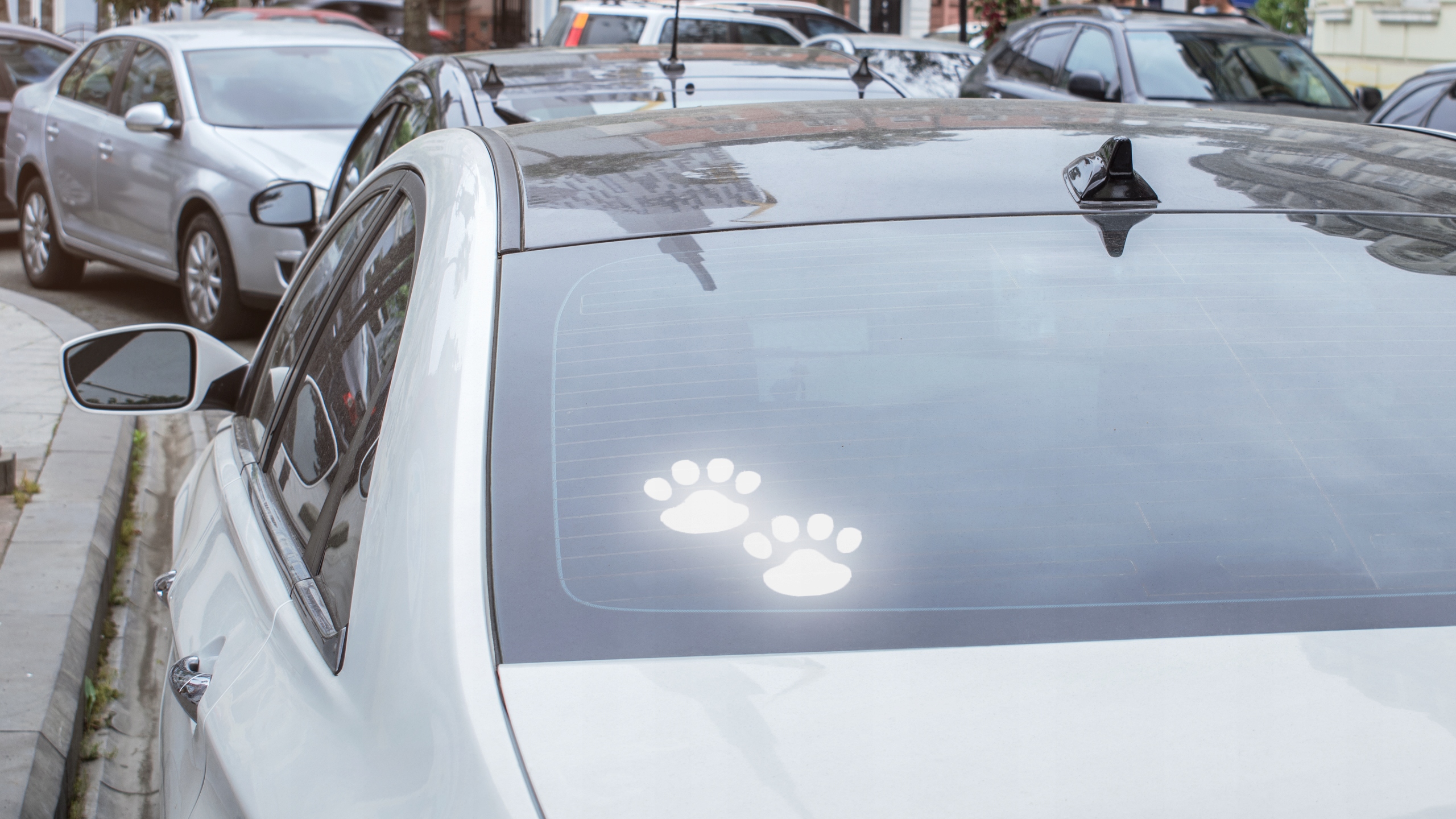 PSIE ŁAPKI ŁAPA W02 - Naklejka Na samochód na Auto - ODBLASKOWA| HOLOGRAM Szerokość 10 mm