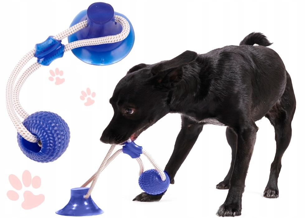 

Zabawka Dla Psa Piłka Szarpak Gryzak Z PRZYSSAWKĄ2