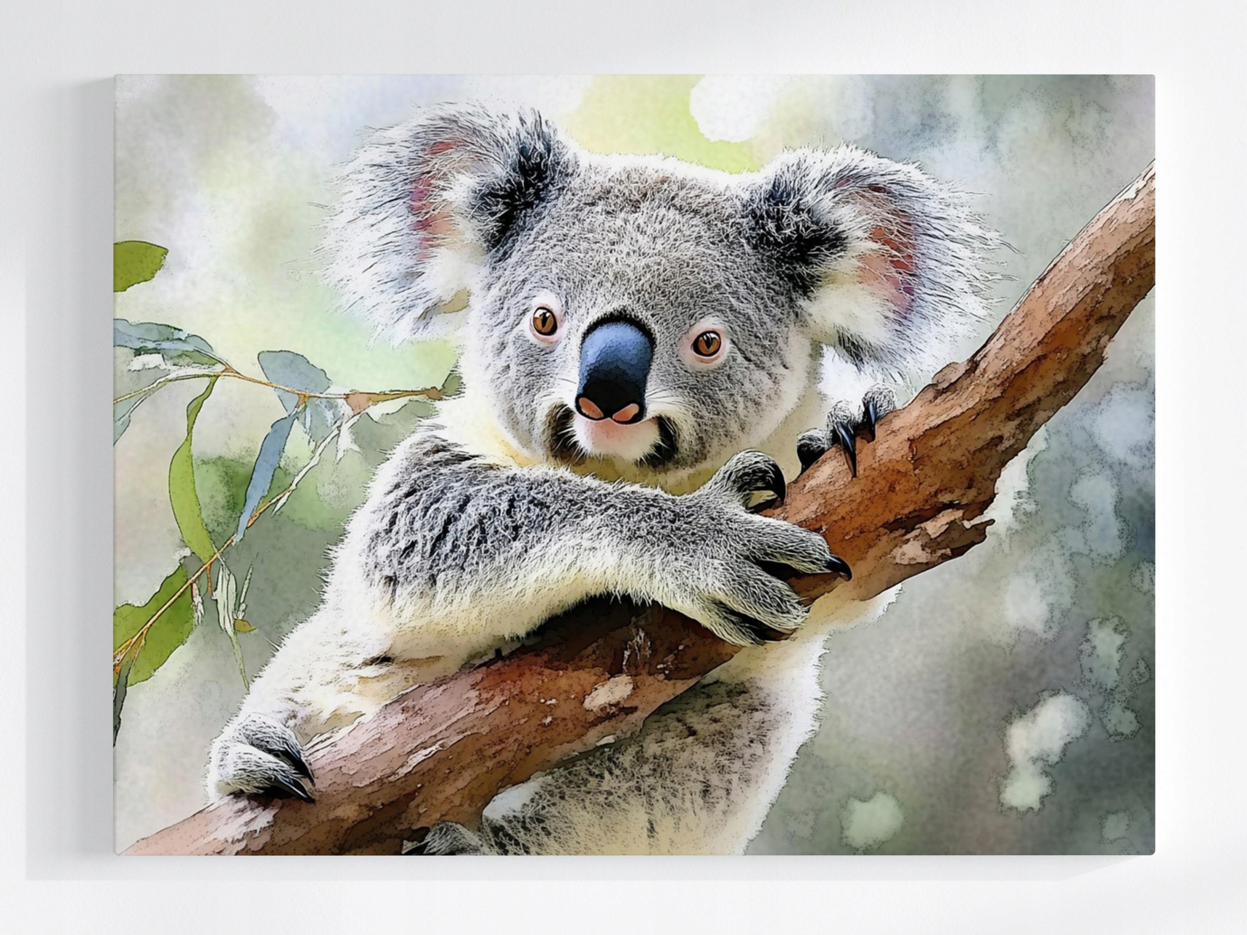 Obraz Na Plátně Canvas Fauna Příroda Austrálie Medvídek Koala 80x60