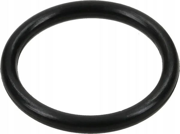 O-ring
