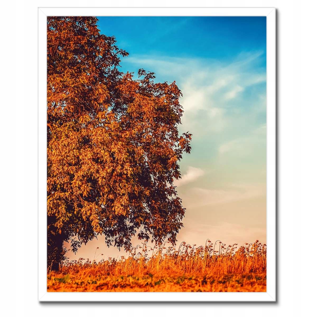 Plakáty v rámu 40x50 Podzimní barvy Krajina