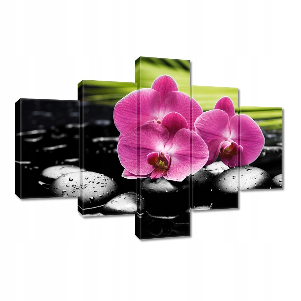 

Obrazy 100x70 Spa Kamienie i oleandry