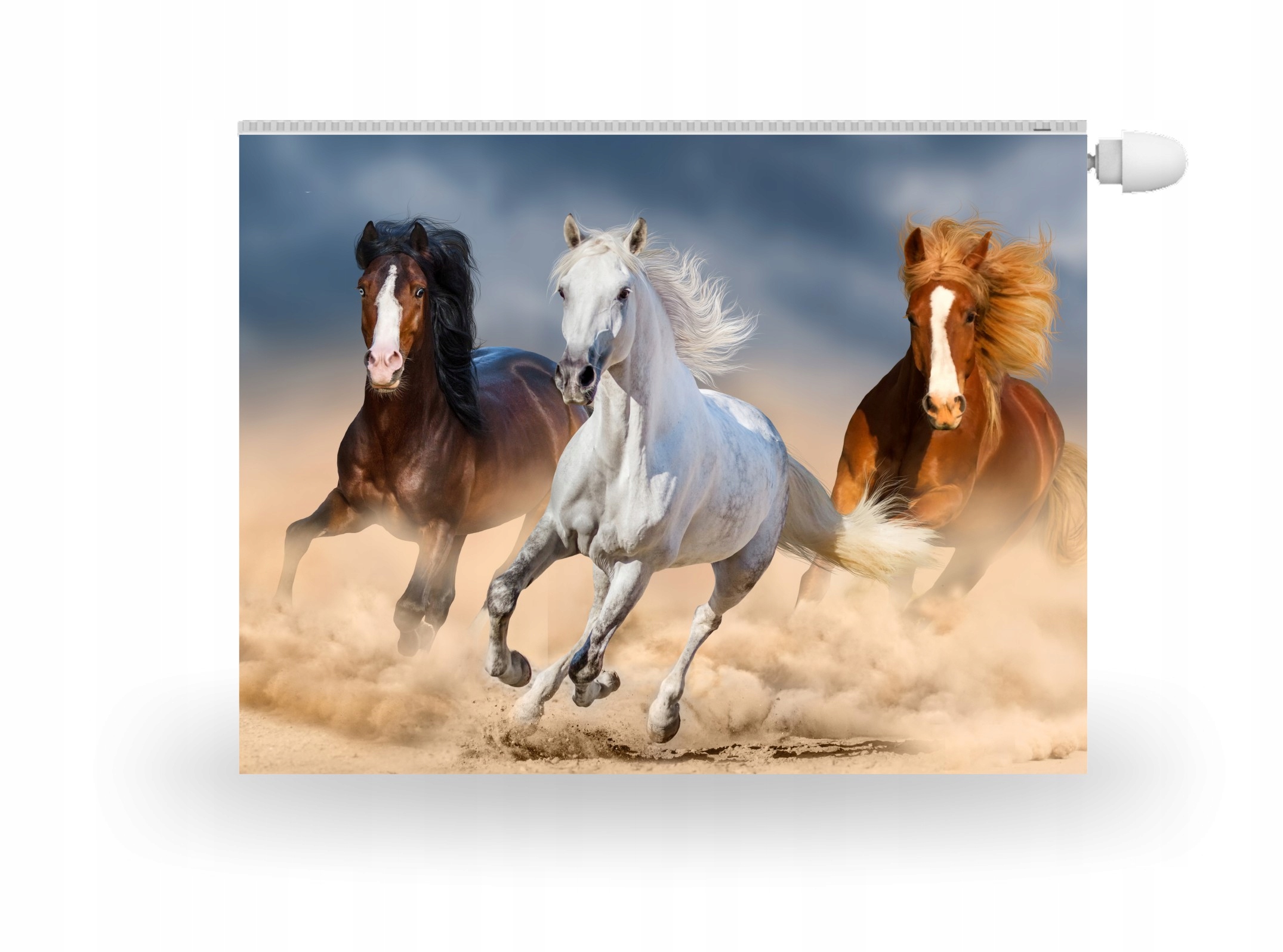 MAGNES MATA MAGNETYCZNA NA KALORYFER NA WYMIAR