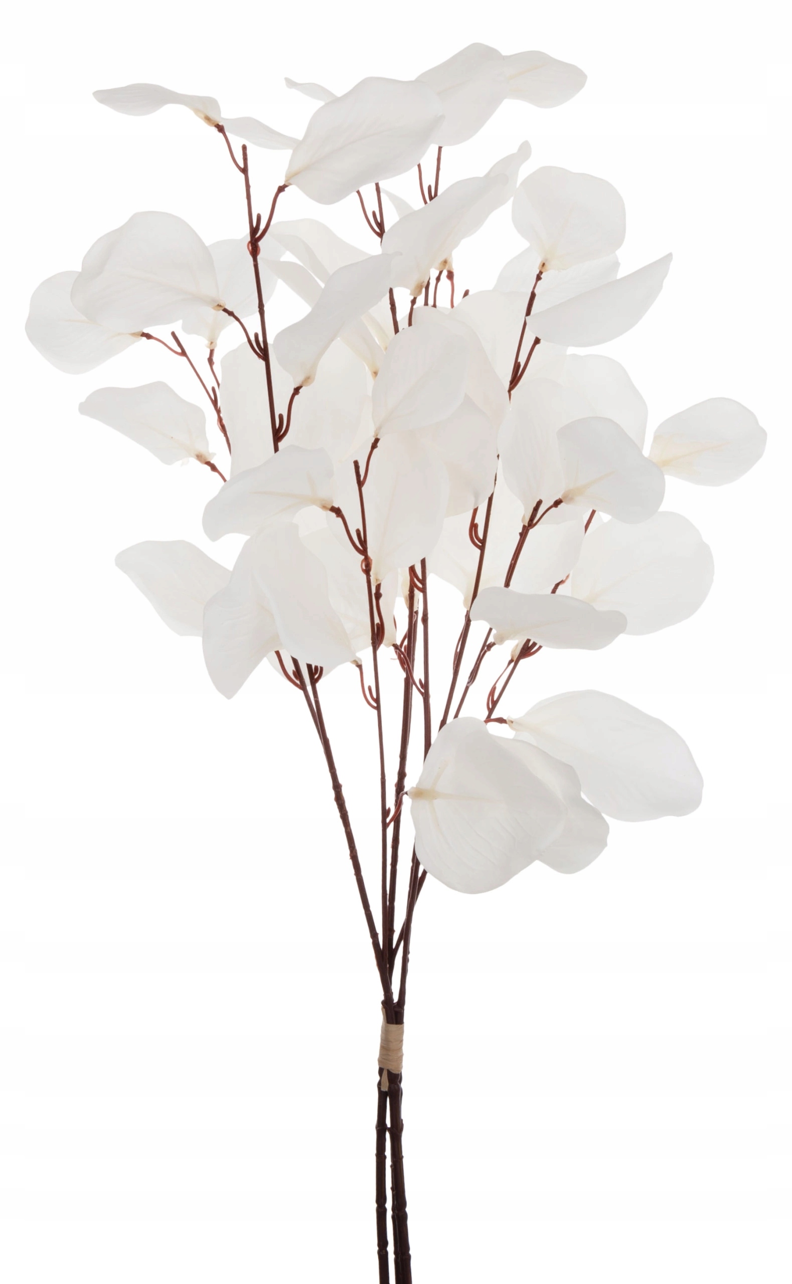 EUKALIPTUS BIAŁY 57 CM KWIATY SZTUCZNE Marka Agawa