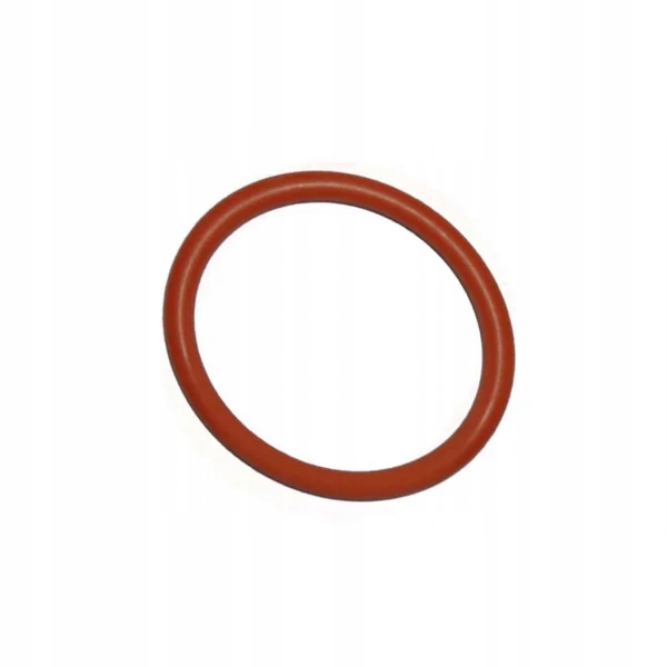 Saeco uszczelka zaparzacz 38x4