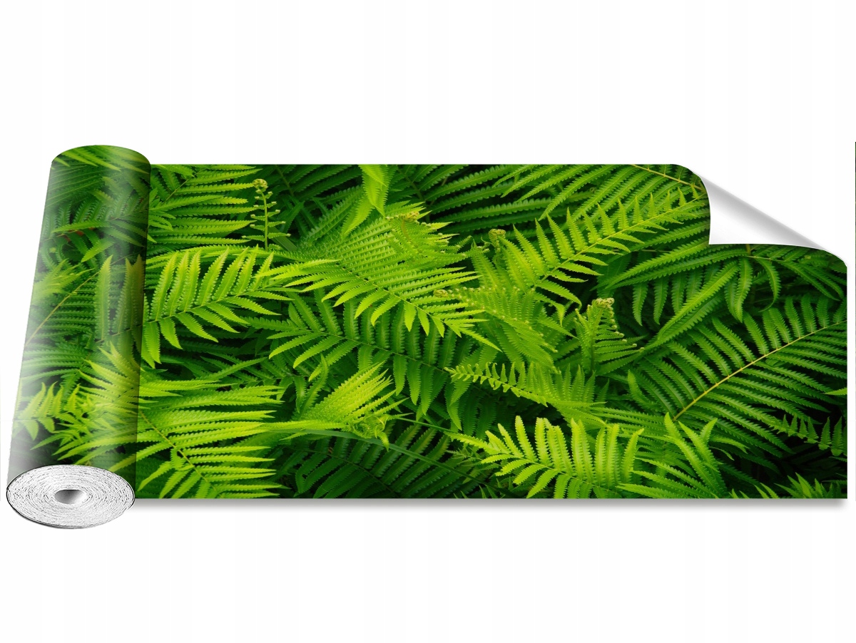 

Tapeta Samoprzylepna Paproć Zielony 250x104