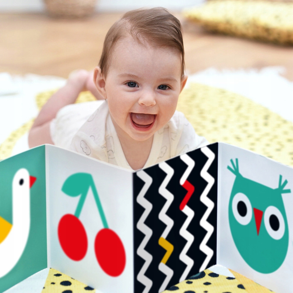 CZUCZU STARTER MALUCHA KSIĄŻECZKI KONTRASTOWE 0M+ Materiał karton