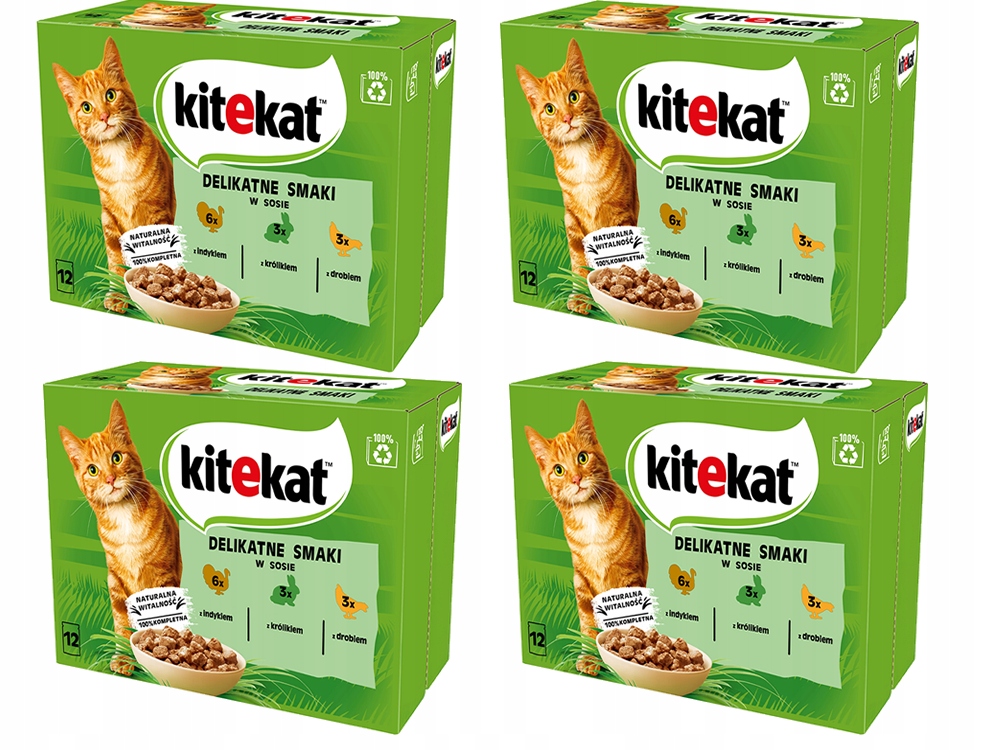 Levně Kitekat Jemné Příchutě 48 x 85 g sáčky pro kočky
