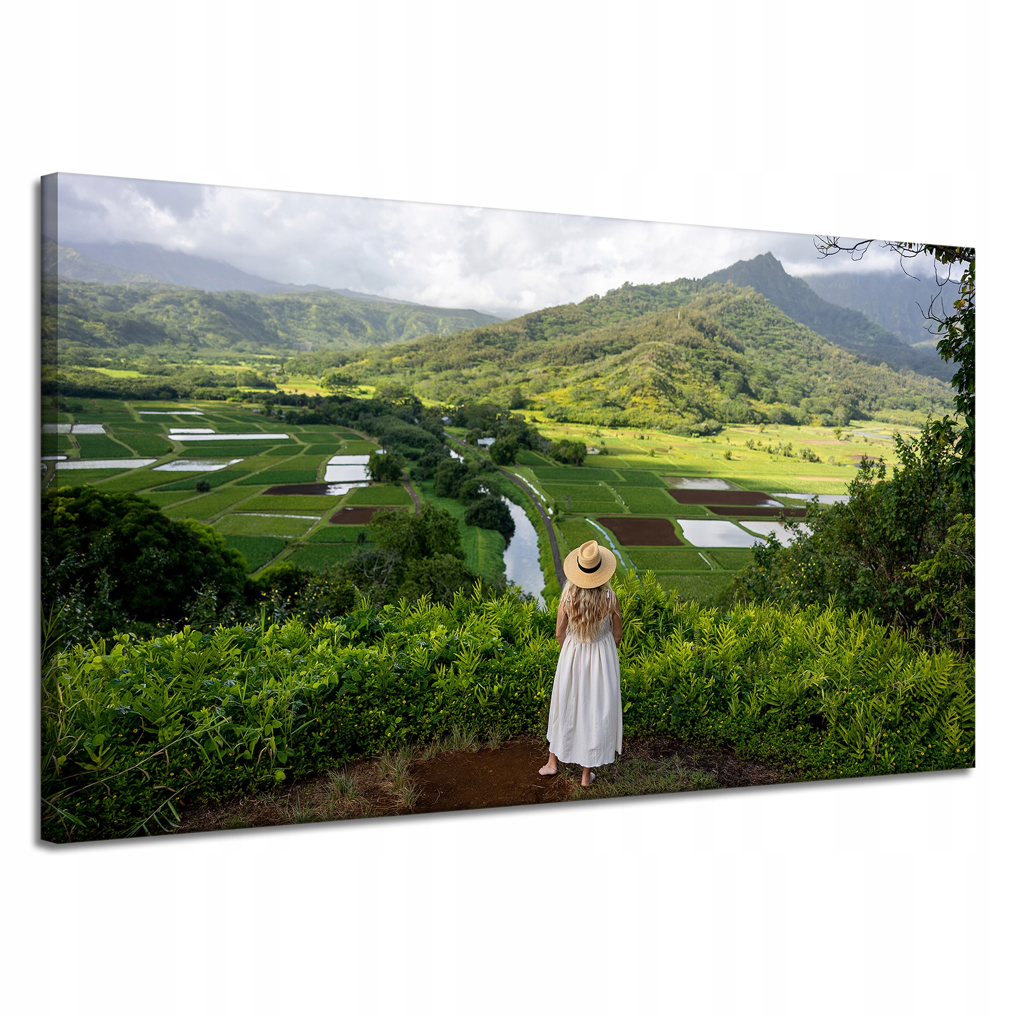Obraz Canvas Příroda Žena pohled na hory 120x70