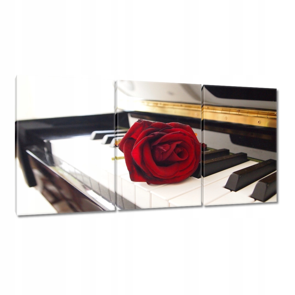 

Obrazy 120x60 Różna na pianinie