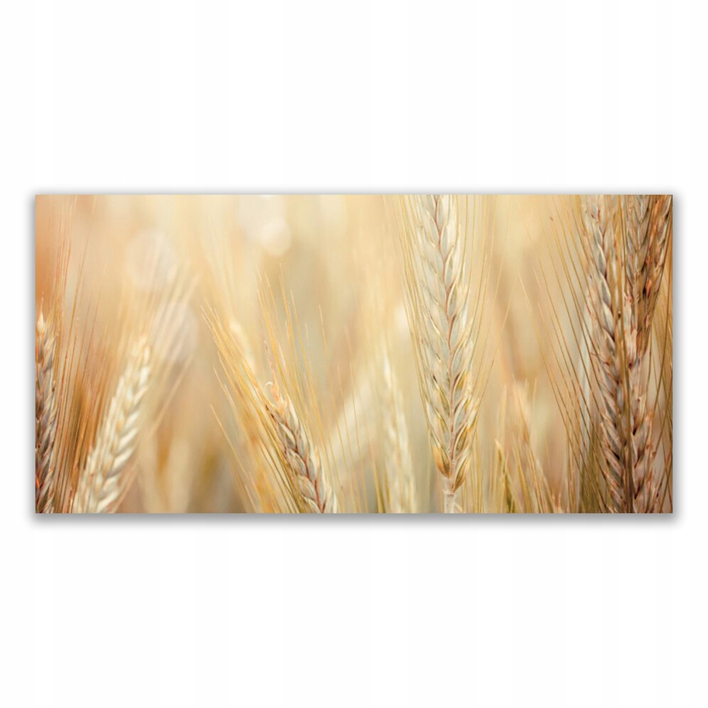 

Obraz z nadrukiem 140x70 Pszenica Roślina Natura