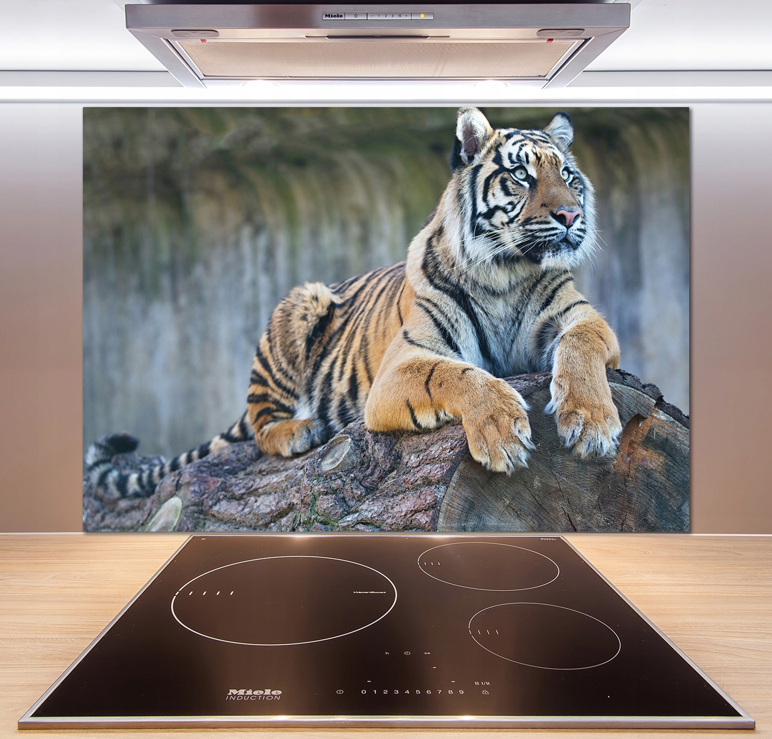 

Panel szklany do kuchni Tygrys 100x70 cm + Klej
