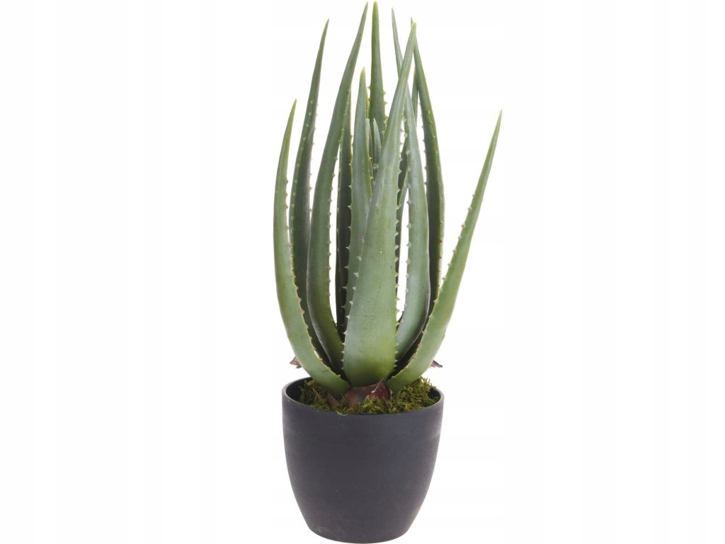 Umělá rostlina Aloe, 45 cm