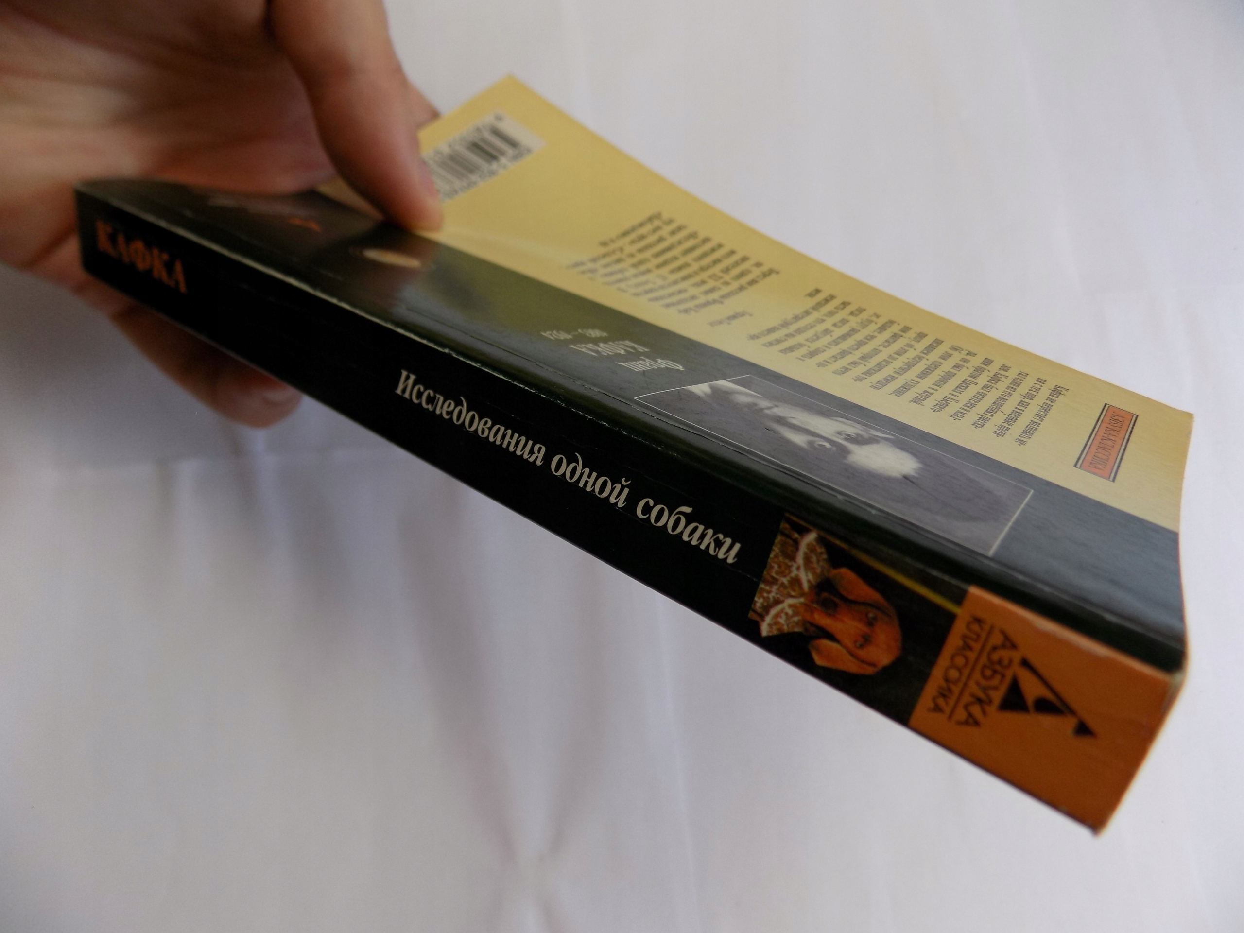 FRANZ KAFKA Studia Autor FRANZ KAFKA