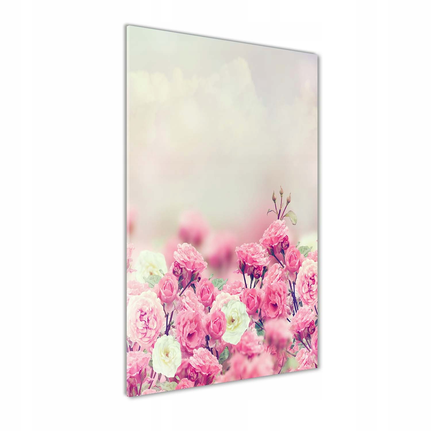 

Foto obraz akrylowy na ścianę Dzika róża 70x140cm