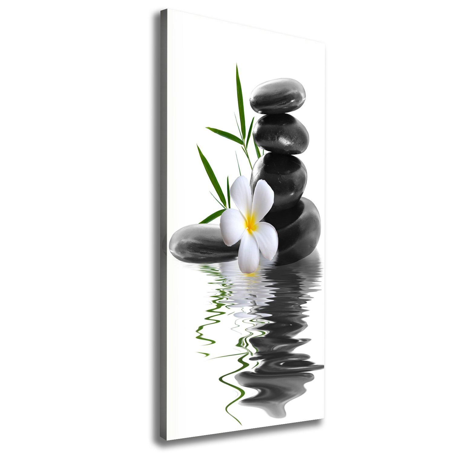 

Foto obraz na płótnie Orchidea i kamienie 50x125cm