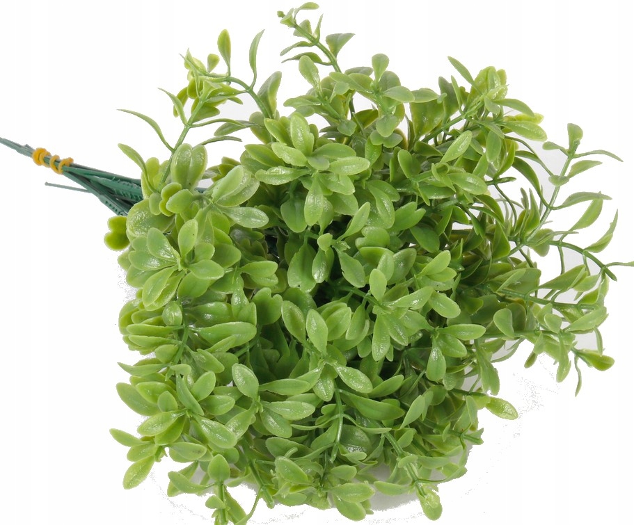 

Borówka gałązka dekoracyjna 12 sztuk A241