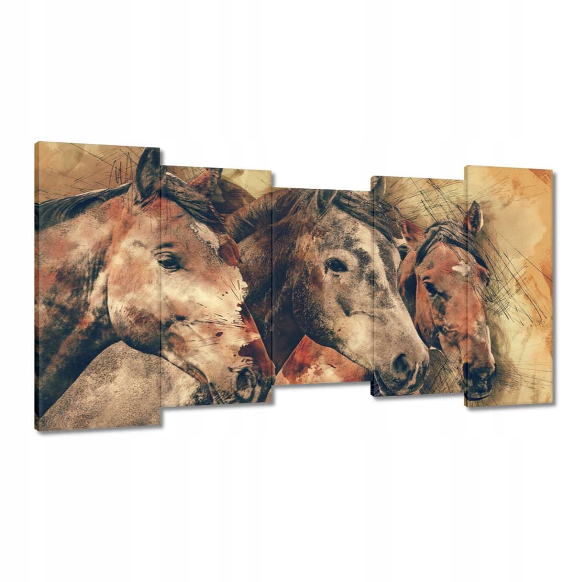 Obrazy 150x80 Koňské hlavy Kůň Koně
