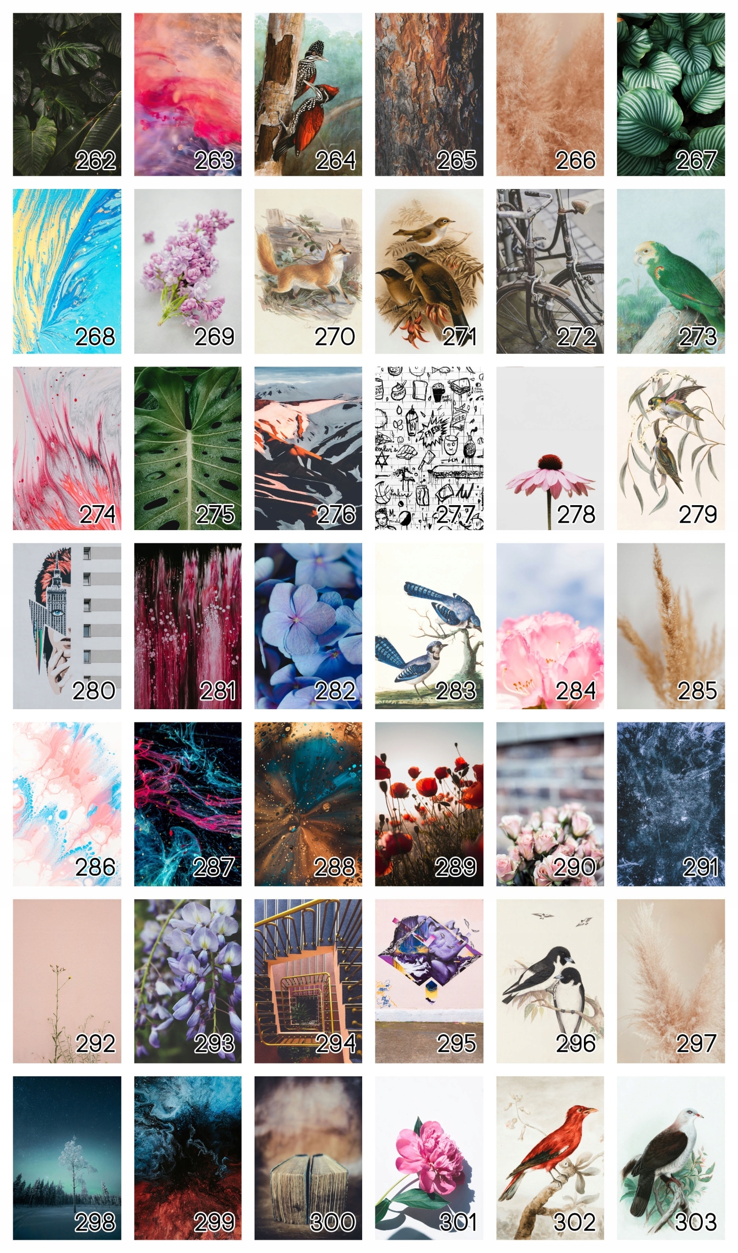 Plakat B2 50x70 cm Kwiat Natura Wiosna Zieleń WZOR Marka bez marki