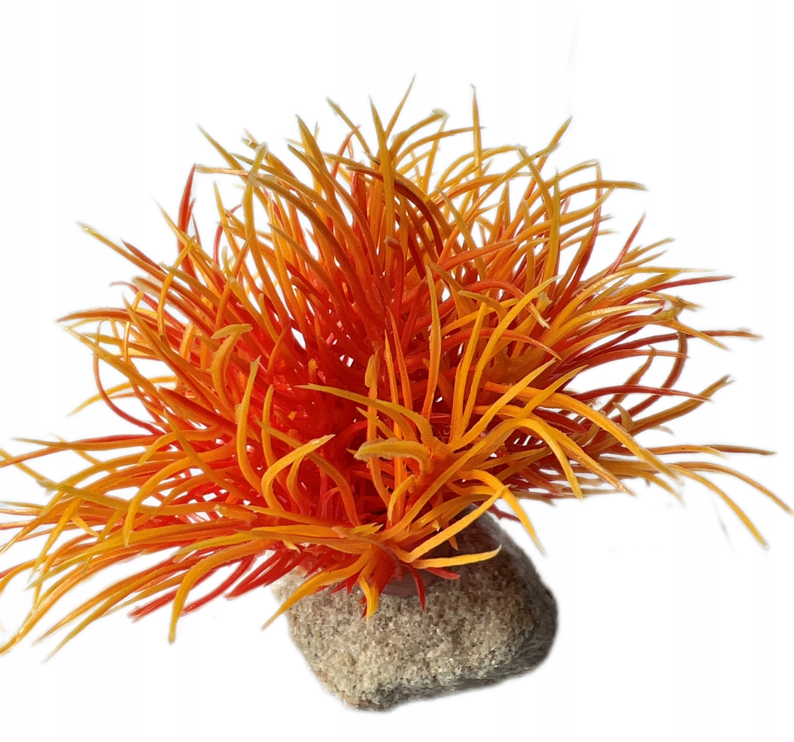 

Roślina Roślinka Sztuczna Do Akwarium Wys. 8 CM