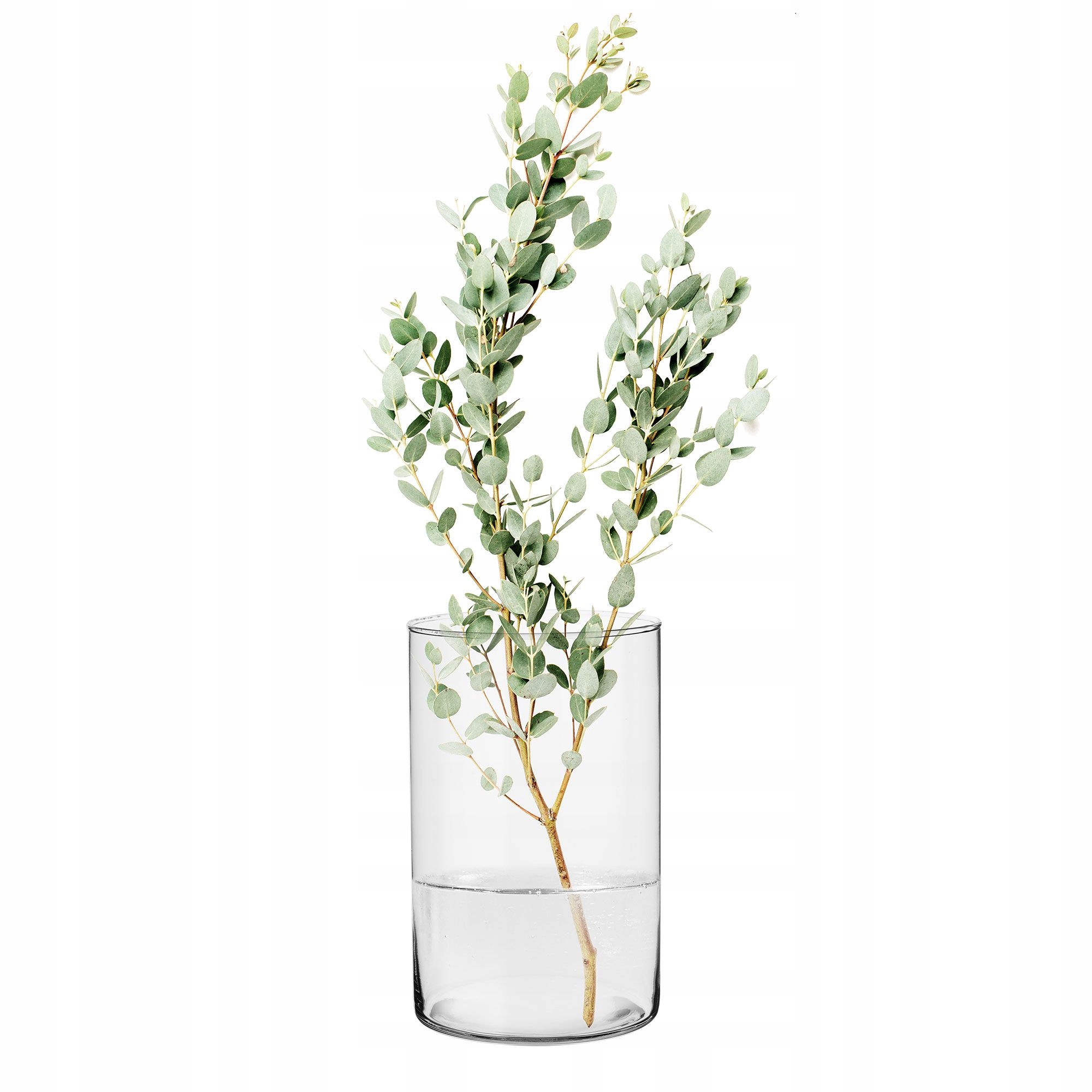 

Wazon szklany, tuba Fleur 21,5 cm Trend For Home