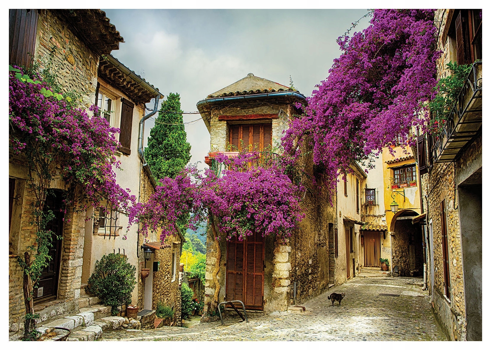 Fototapeta Ulica Provence v kvetoch Kameň Fialová 312x219 lepidlo