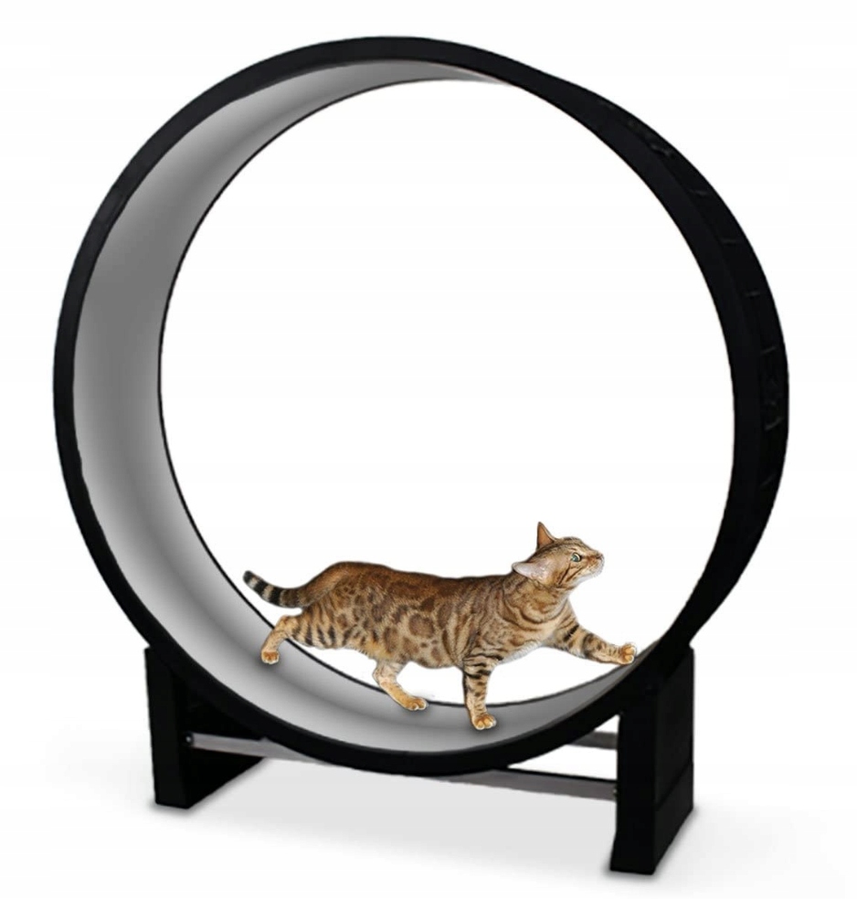 Levně Běžecký pás pro kočky Cat in Motion 2.0. Canadian Cat Nový Model Měkký