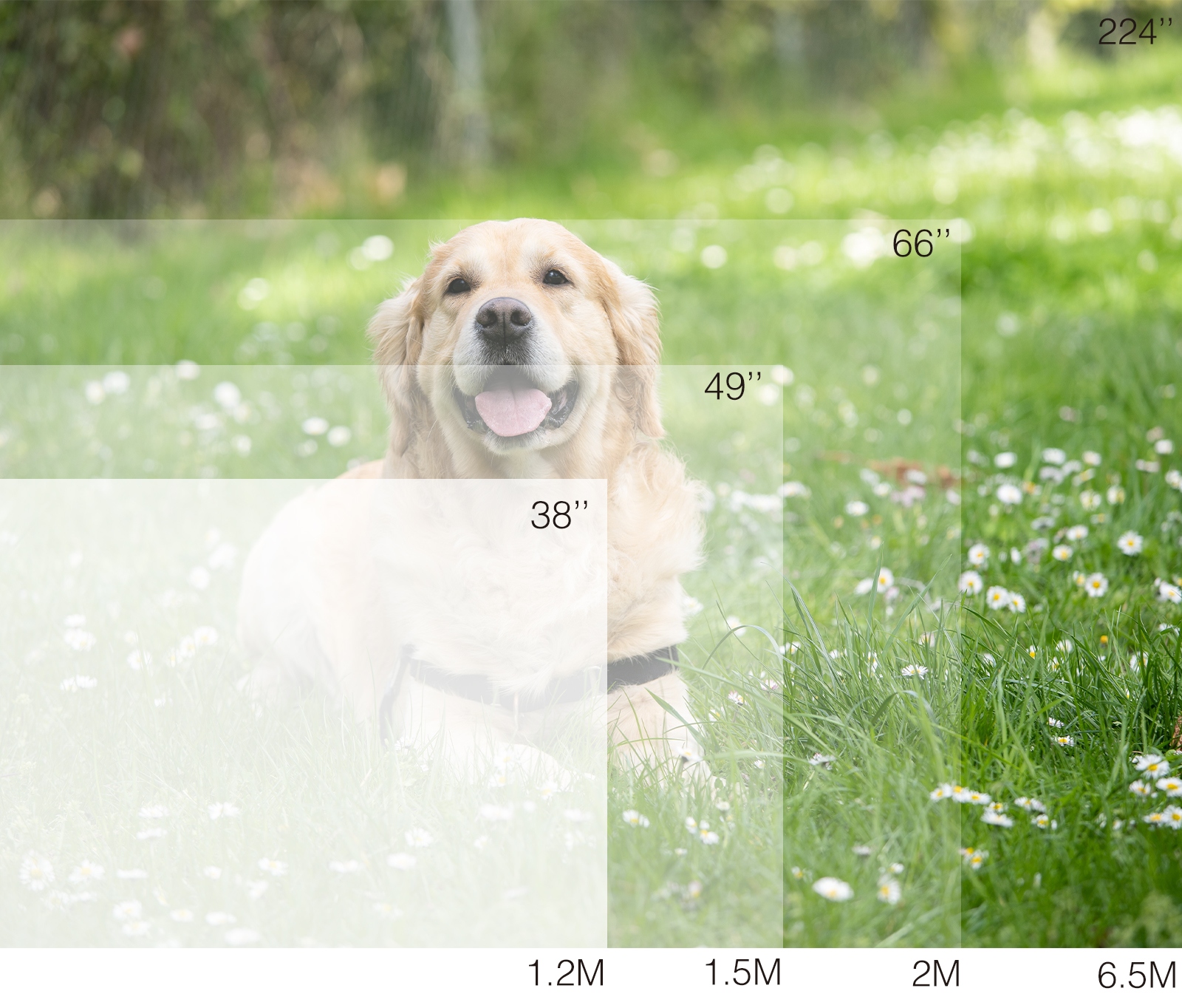 Projektor rzutnik Led Full Hd 4K Autofocus Auto keystone Android Klawiatura Technologia wyświetlania LED