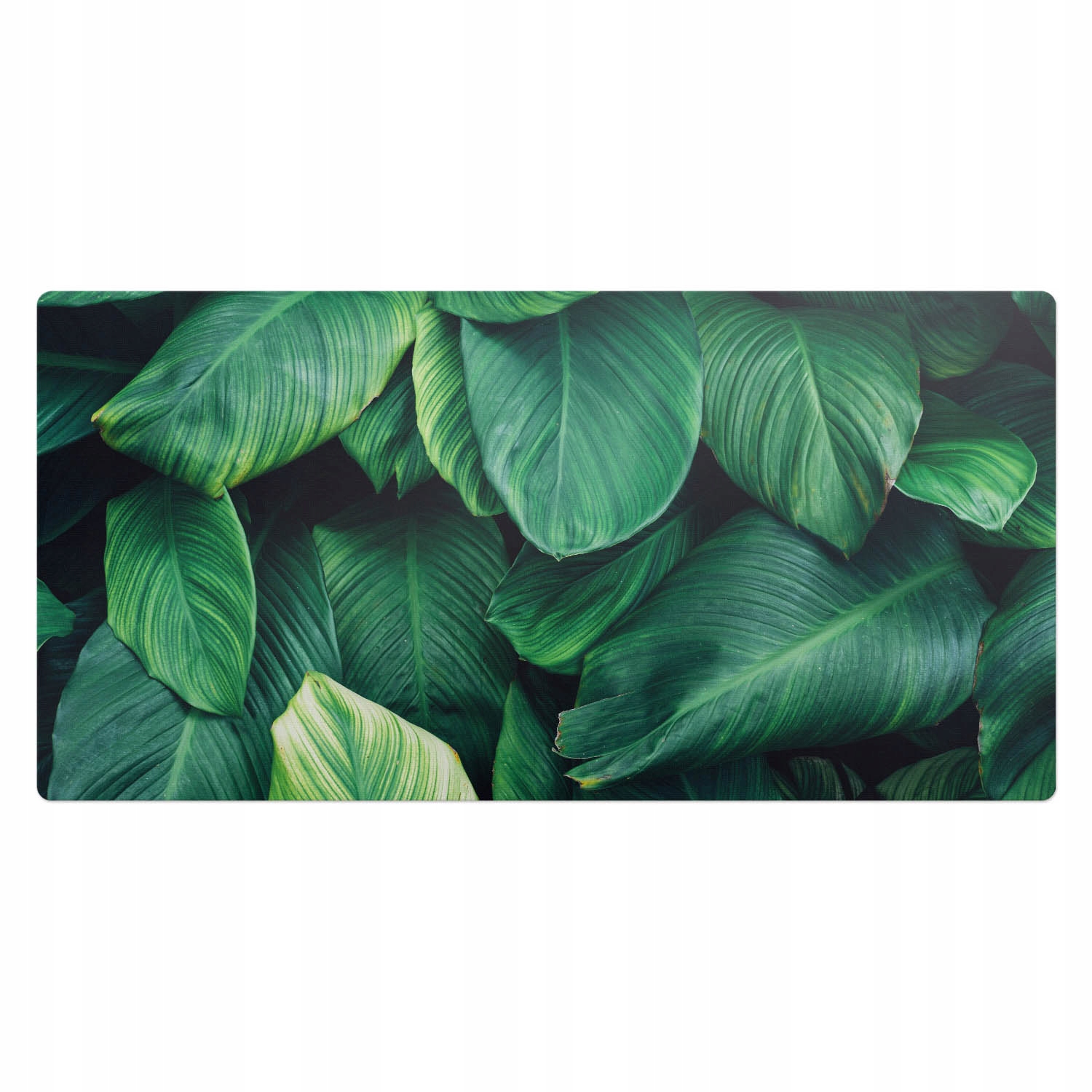 Moderní vinylová podložka pod klávesnici Exotické listy ve stylu 100 x 50 cm