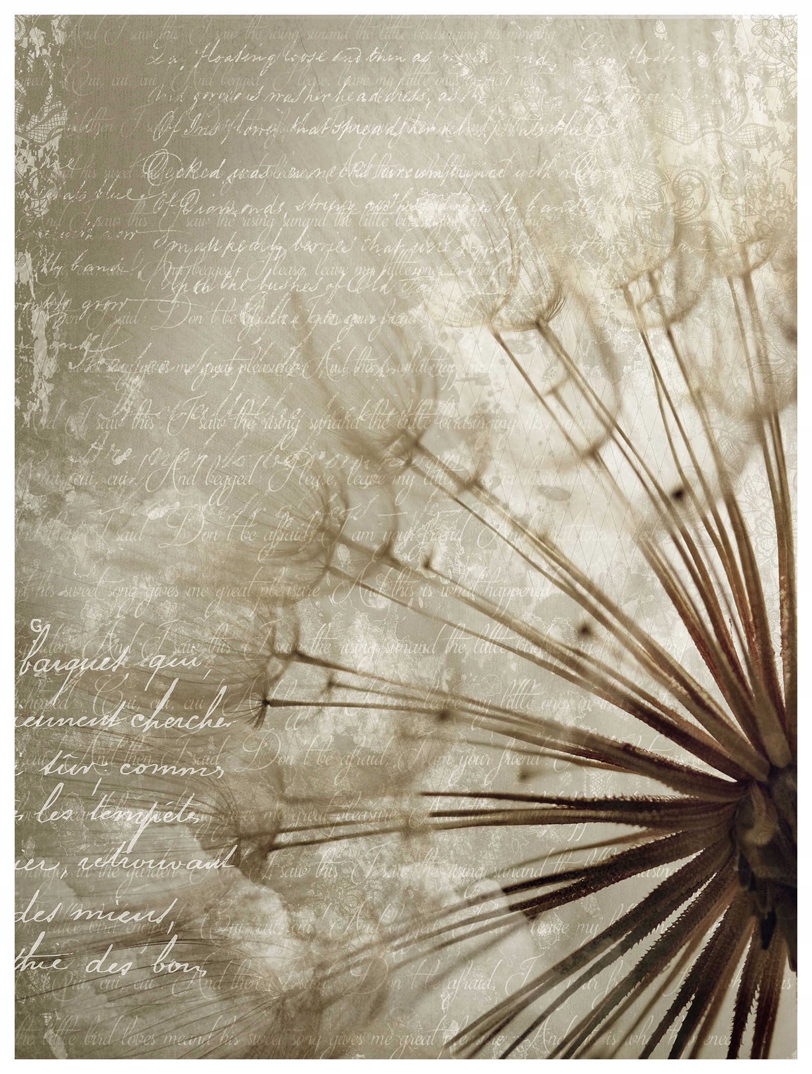 Fototapeta Pampeliška se semínky lehkost elegance vinylová 184x254 lepidlo