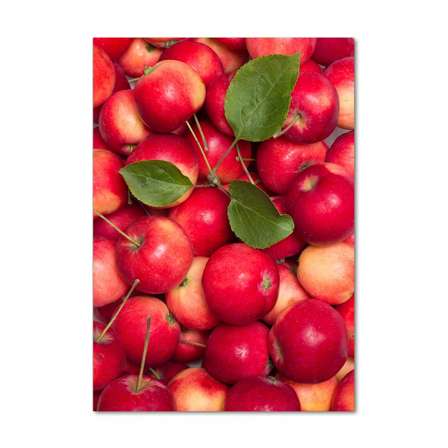 

Foto obraz szkło akrylowe Czerwone jabłka 70x100cm