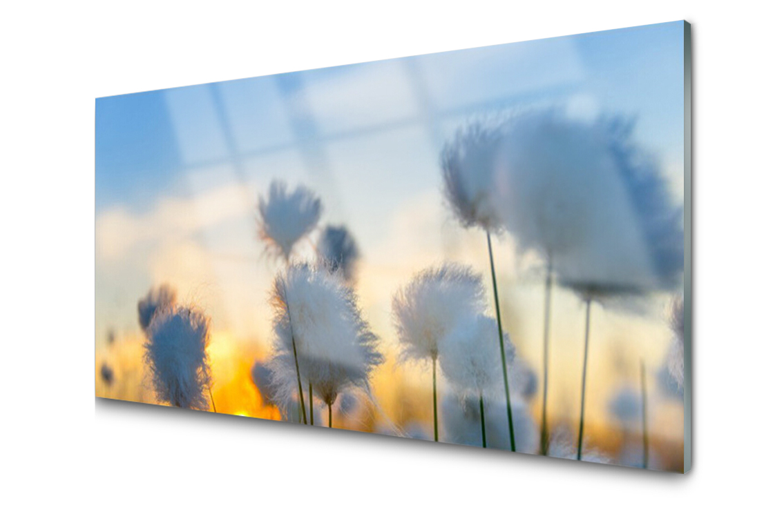 

Panel szklany Płytka Kwiaty Roślina 120x60 + Klej