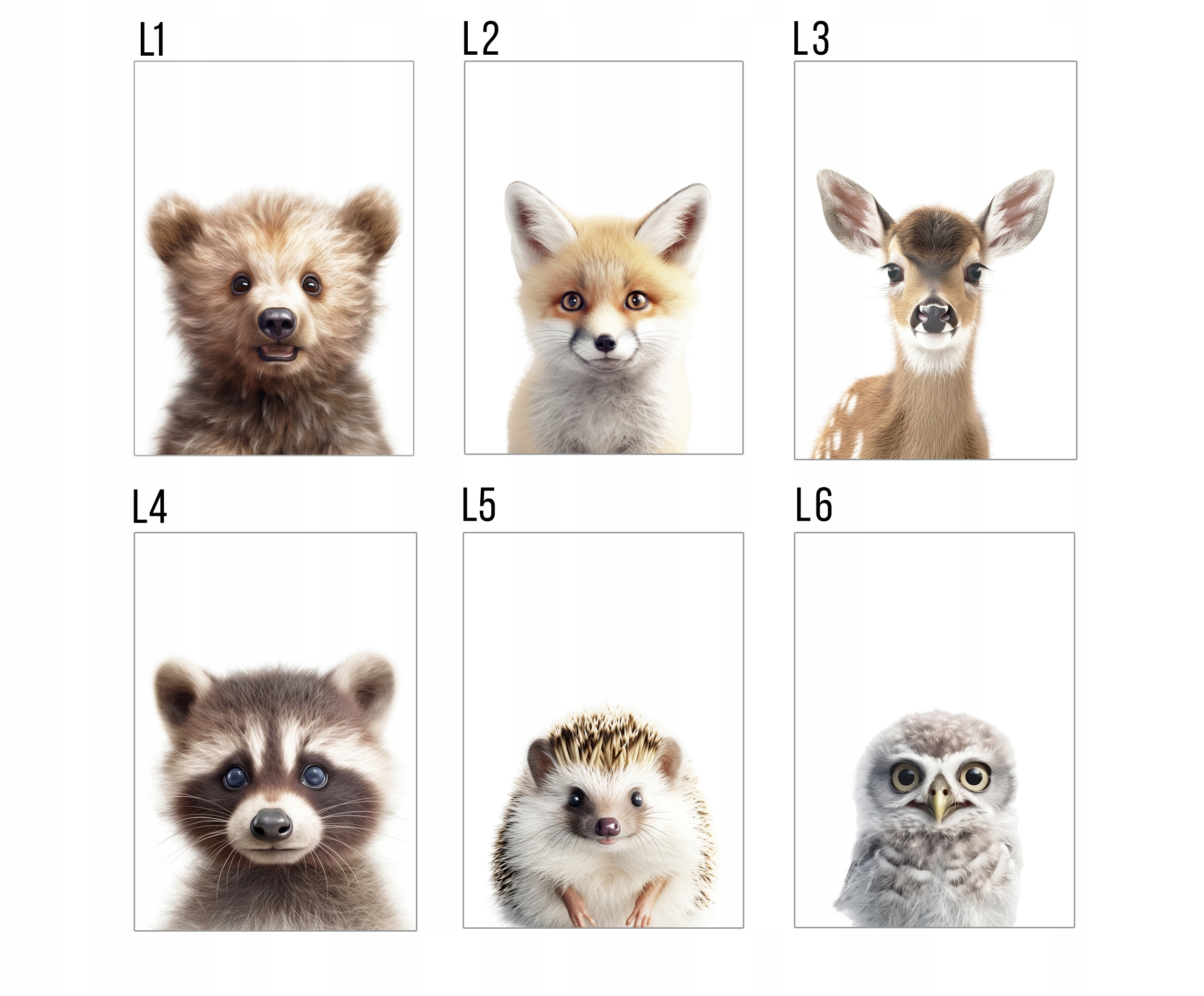 Zestaw 3 plakaty 40x50 zwierzęta safari farma leśne WZORY lew, panda, miś Długość 40 cm