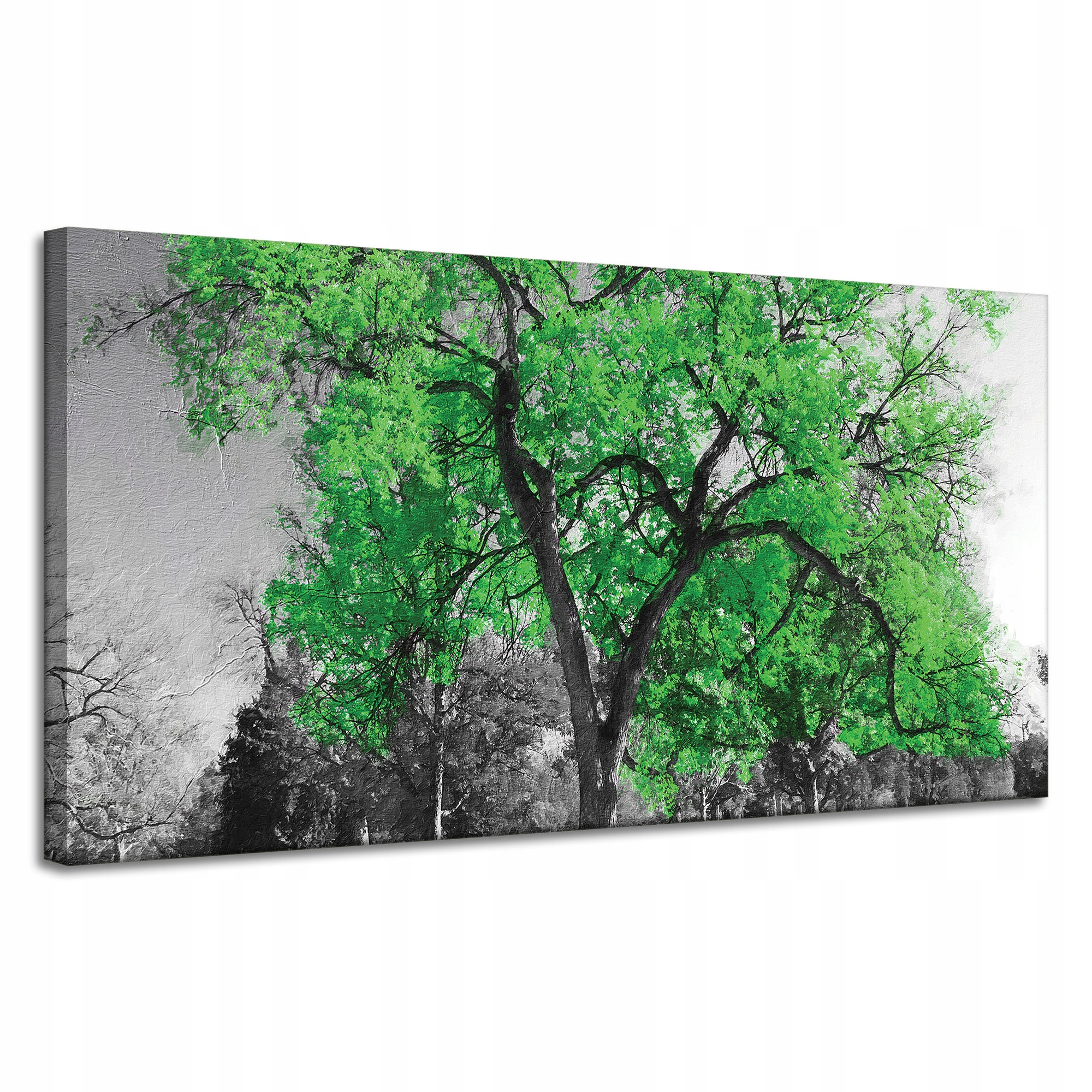 Obraz na plátně Černé Stromy Zelené Listy Umění 120x60 cm