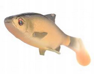 Savage Gear 3D River Roach 22cm 125g Dirty Roach