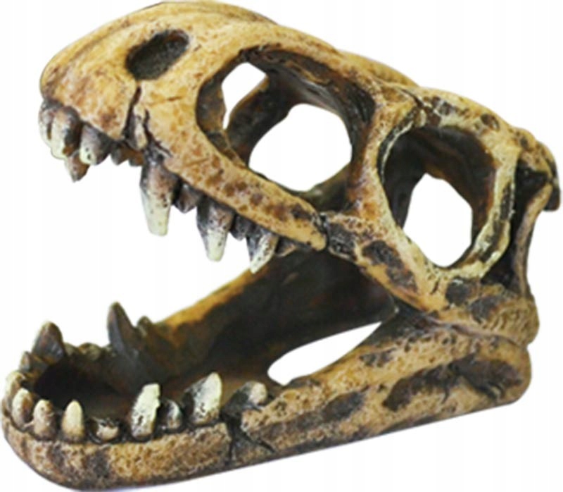 

Czaszka Dinozaura 10CM Dekoracja Do Akwarium